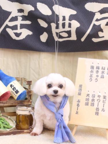 20240625サクラちゃん